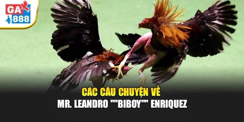 Các câu chuyện về Mr. Leandro "Biboy" Enriquez Các câu chuyện về Mr. Leandro "Biboy" Enriquez