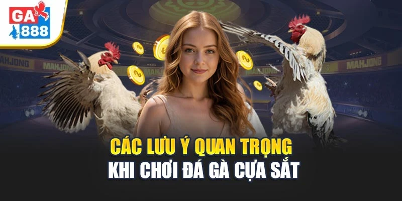 Các lưu ý quan trọng khi chơi Đá gà cựa sắt Các lưu ý quan trọng khi chơi Đá gà cựa sắt