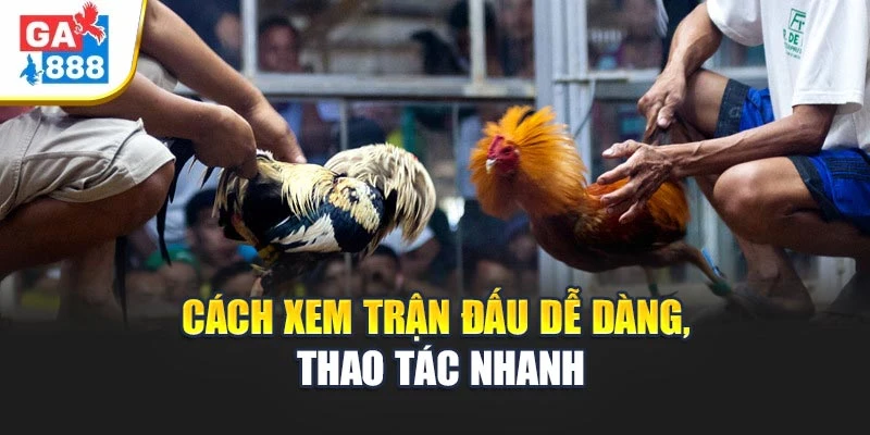Cách xem trận đấu dễ dàng, thao tác nhanh Cách xem trận đấu dễ dàng, thao tác nhanh