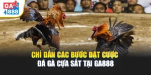 Đá Gà Cựa Sắt tại GA888 – Nơi Hội Tụ Chiến Kê Đỉnh Cao 6 Chỉ dẫn các bước đặt cược đá gà cựa sắt tại GA888