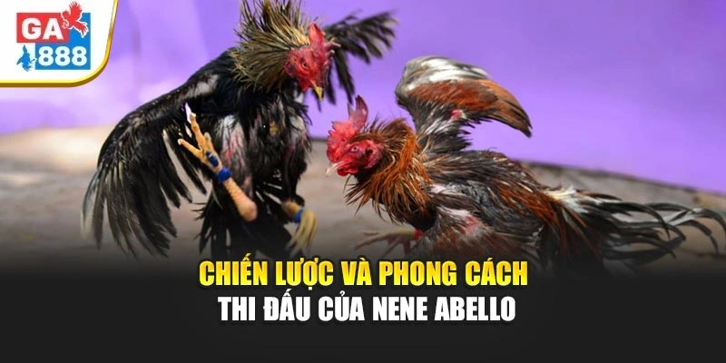 Chiến lược và phong cách thi đấu của Nene Abello Chiến lược và phong cách thi đấu của Nene Abello
