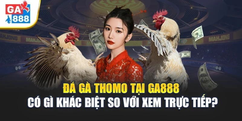 Đá Gà Thomo Tại GA888 Có Gì Khác Biệt So Với Xem Trực Tiếp? 1 Đá Gà Thomo Tại GA888 Có Gì Khác Biệt So Với Xem Trực Tiếp?