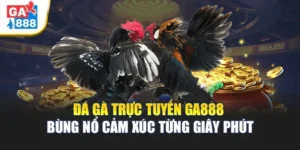 Đá Gà Trực Tuyến GA888 Bùng Nổ Cảm Xúc Từng Giây Phút 7 Đá Gà Trực Tuyến GA888