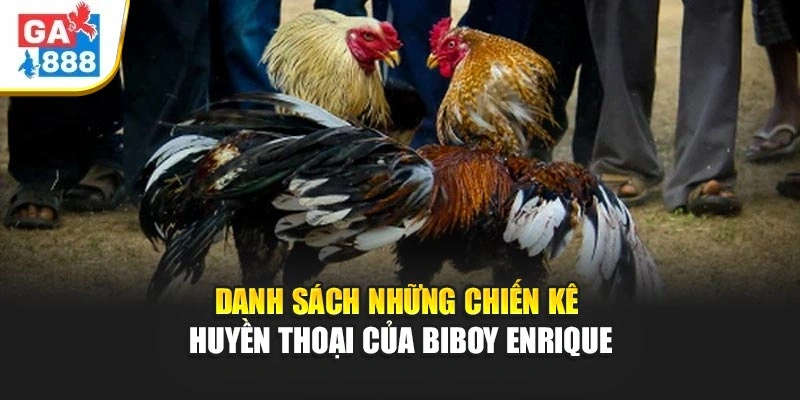 Danh sách những chiến kê huyền thoại của Biboy Enrique Danh sách những chiến kê huyền thoại của Biboy Enrique
