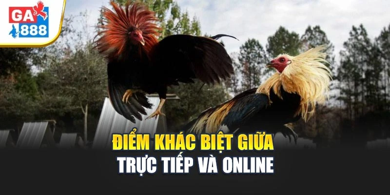 Điểm khác biệt giữa trực tiếp và online Điểm khác biệt giữa trực tiếp và online