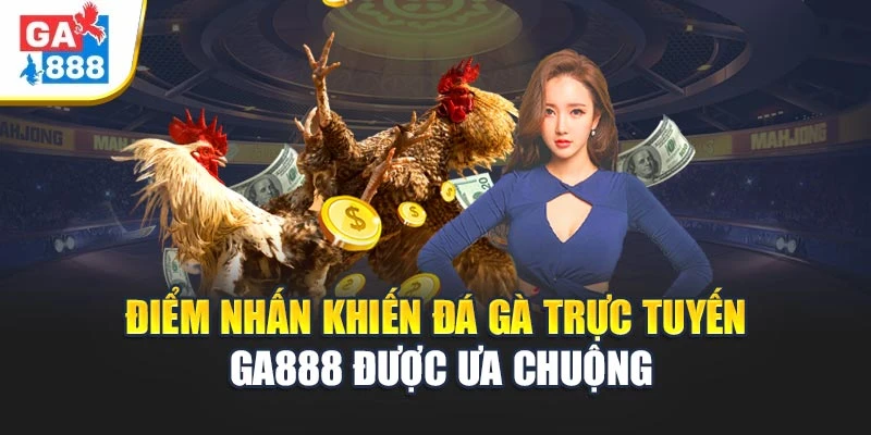 Điểm nhấn khiến Đá gà trực tuyến GA888 được ưa chuộng Điểm nhấn khiến Đá gà trực tuyến GA888 được ưa chuộng