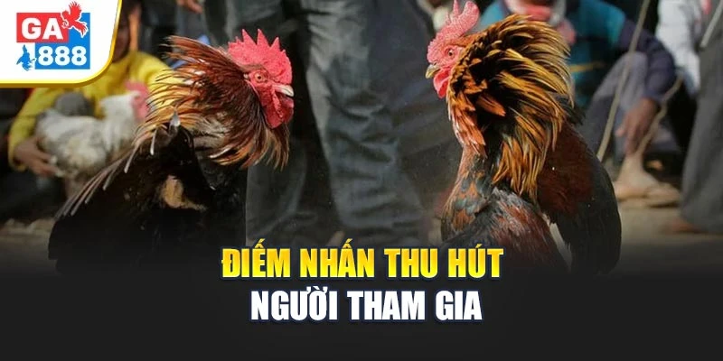 Điểm nhấn nổi bật của đá gà cựa dao Điểm nhấn nổi bật của đá gà cựa dao