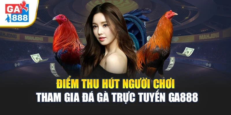 Điểm thu hút người chơi tham gia Đá gà trực tuyến GA888 Điểm thu hút người chơi tham gia Đá gà trực tuyến GA888