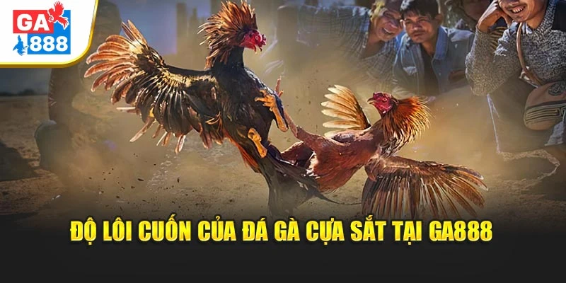 Độ lôi cuốn của Đá Gà Cựa Sắt tại GA888 Độ lôi cuốn của Đá Gà Cựa Sắt tại GA888