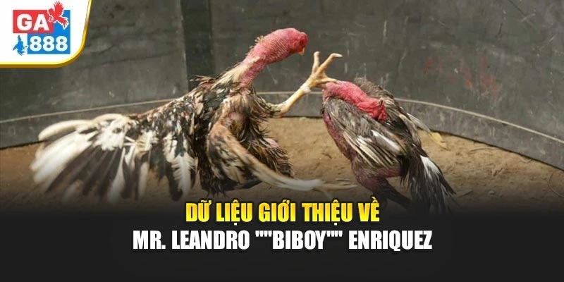Dữ liệu giới thiệu về Mr. Leandro "Biboy" Enriquez Dữ liệu giới thiệu về Mr. Leandro "Biboy" Enriquez