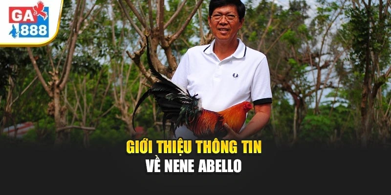 Giới thiệu thông tin về Nene Abello Giới thiệu thông tin về Nene Abello