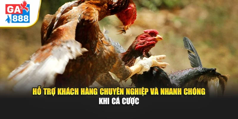 Hỗ trợ khách hàng chuyên nghiệp và nhanh chóng khi cá cược Hỗ trợ khách hàng chuyên nghiệp và nhanh chóng khi cá cược