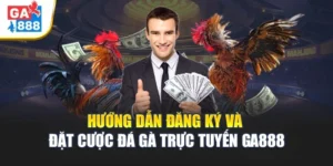 Hướng Dẫn Đăng Ký Và Đặt Cược Đá Gà Trực Tuyến GA888 5 Hướng Dẫn Đăng Ký Và Đặt Cược Đá Gà Trực Tuyến GA888