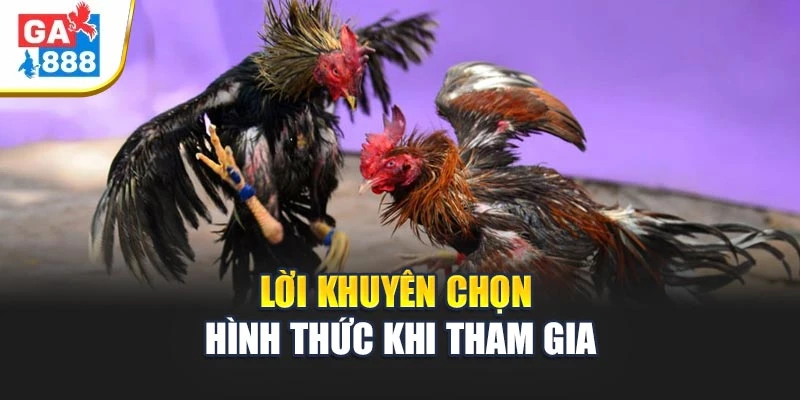 Lời khuyên chọn hình thức khi tham gia Lời khuyên chọn hình thức khi tham gia