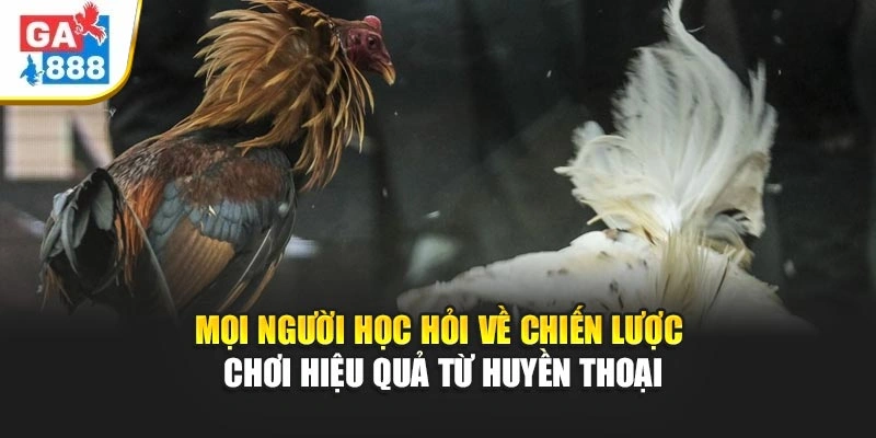 Mọi người học hỏi về chiến lược chơi hiệu quả từ huyền thoại Mọi người học hỏi về chiến lược chơi hiệu quả từ huyền thoại