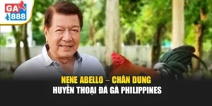 Nene Abello – Chân Dung Huyền Thoại Đá Gà Philippines 4 Nene Abello – Chân Dung Huyền Thoại Đá Gà Philippines