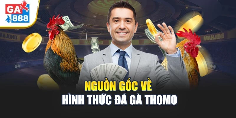 Nguồn gốc về hình thức đá gà Thomo Nguồn gốc về hình thức đá gà Thomo