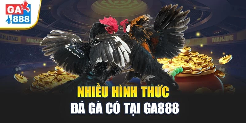 Ga888 - Tận Hưởng Không Gian Giải Trí Hiện Đại Có 1 Không 2 5 Nhiều hình thức đá gà có tại Ga888