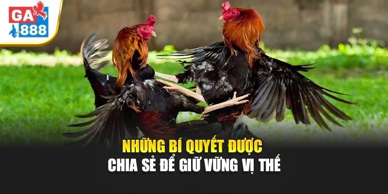 Những bí quyết được chia sẻ để giữ vững vị thế Những bí quyết được chia sẻ để giữ vững vị thế