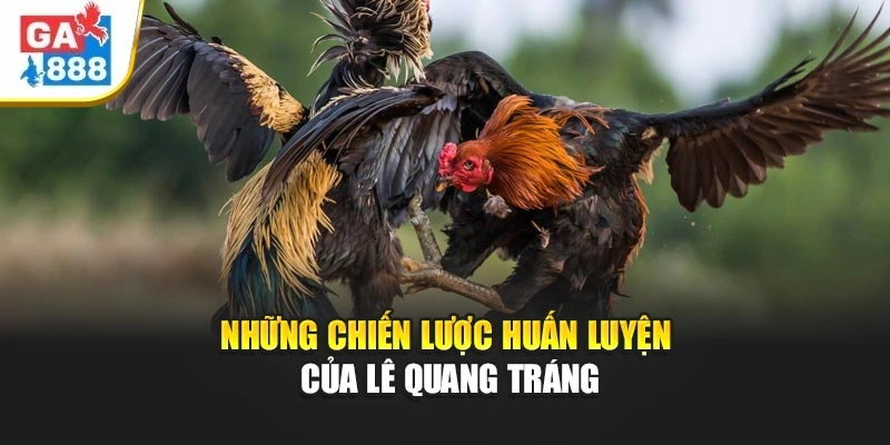 Những chiến lược huấn luyện của Lê Quang Tráng Những chiến lược huấn luyện của Lê Quang Tráng