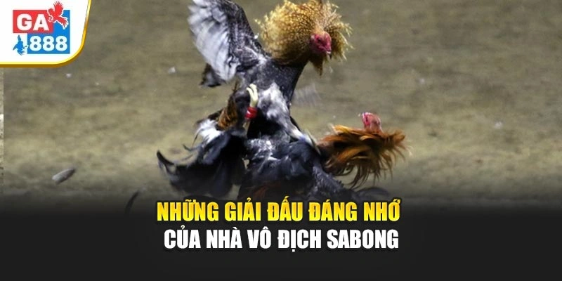 Những giải đấu đáng nhớ của nhà vô địch Sabong Những giải đấu đáng nhớ của nhà vô địch Sabong