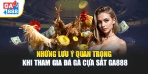 Những Lưu Ý Quan Trọng Khi Tham Gia Đá gà cựa sắt GA888 1 Những Lưu Ý Quan Trọng Khi Tham Gia Đá gà cựa sắt GA888