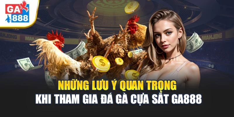 Những Lưu Ý Quan Trọng Khi Tham Gia Đá gà cựa sắt GA888 1 Những Lưu Ý Quan Trọng Khi Tham Gia Đá gà cựa sắt GA888