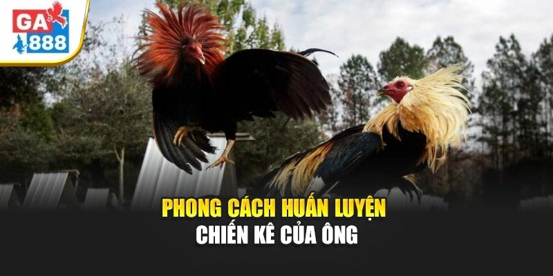 Phong cách huấn luyện chiến kê của ông Phong cách huấn luyện chiến kê của ông