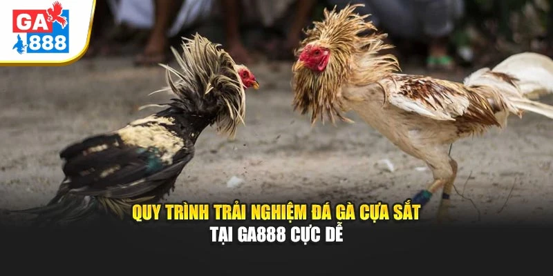 Quy trình trải nghiệm Đá Gà Cựa Sắt tại GA888 cực dễ Quy trình trải nghiệm Đá Gà Cựa Sắt tại GA888 cực dễ