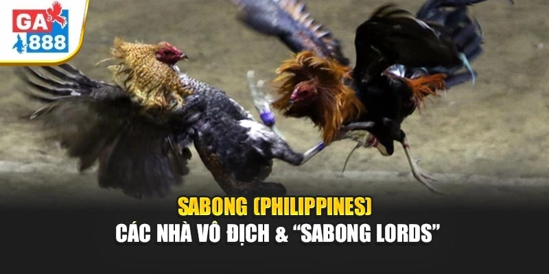 Sabong (Philippines) — Các Nhà Vô Địch & “Sabong Lords” 1 Sabong (Philippines) — Các Nhà Vô Địch & “Sabong Lords”