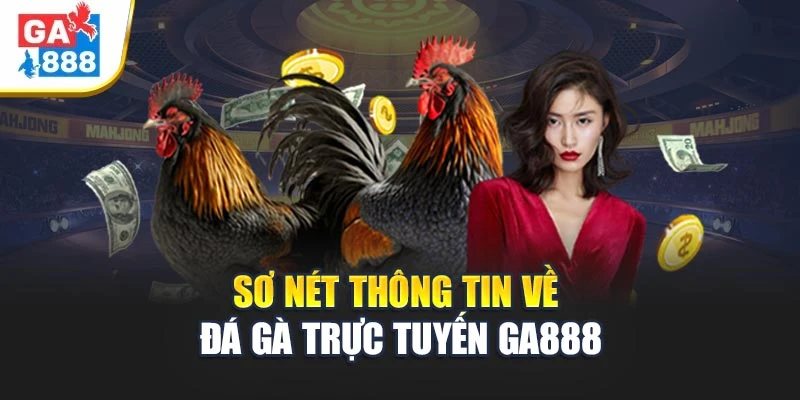 Giới thiệu sơ nét về sân chơi Đá gà trực tuyến GA888 Giới thiệu sơ nét về sân chơi Đá gà trực tuyến GA888