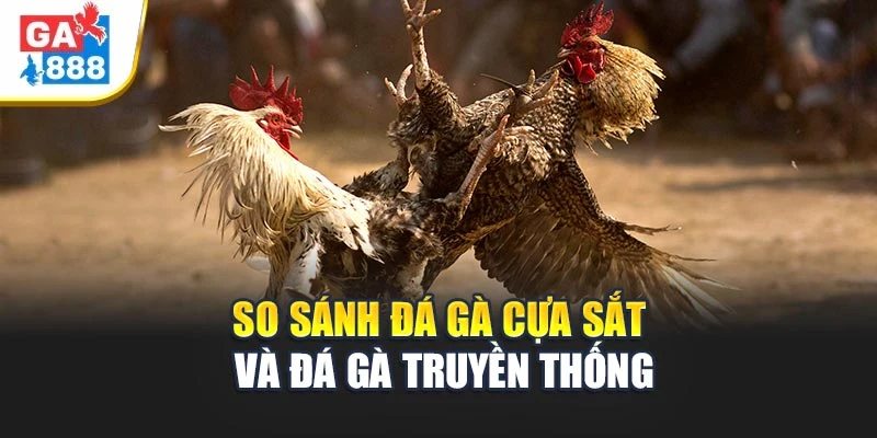 So Sánh Đá Gà Cựa Sắt và Đá Gà Truyền Thống 1 So Sánh Đá Gà Cựa Sắt và Đá Gà Truyền Thống