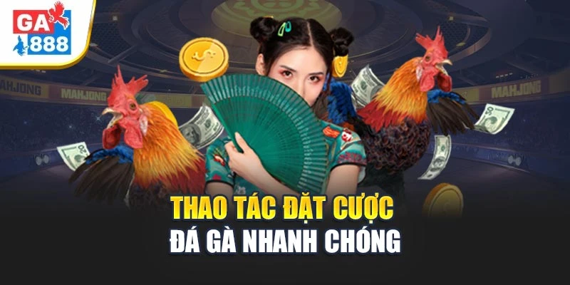 Thao tác đặt cược đá gà nhanh chóng Thao tác đặt cược đá gà nhanh chóng