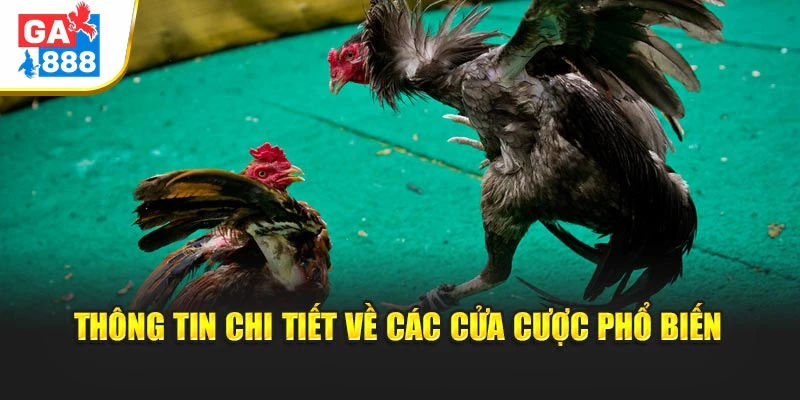 Thông tin chi tiết về các cửa cược phổ biến Thông tin chi tiết về các cửa cược phổ biến