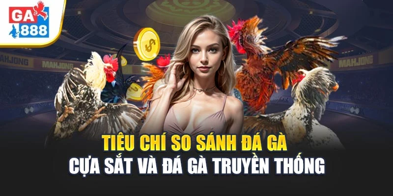 Tiêu chí so sánh đá gà cựa sắt và đá gà truyền thống Tiêu chí so sánh đá gà cựa sắt và đá gà truyền thống