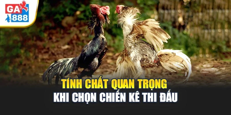 Tính chất quan trọng khi chọn chiến kê thi đấu Tính chất quan trọng khi chọn chiến kê thi đấu