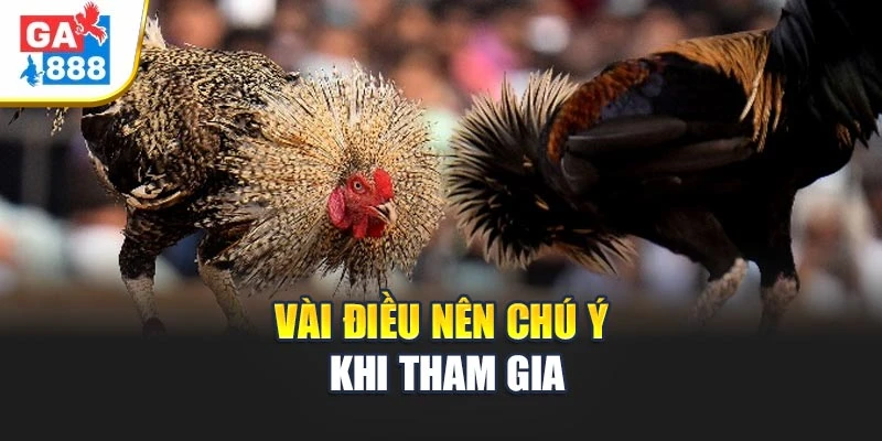 Vài điều nên chú ý khi tham gia Vài điều nên chú ý khi tham gia