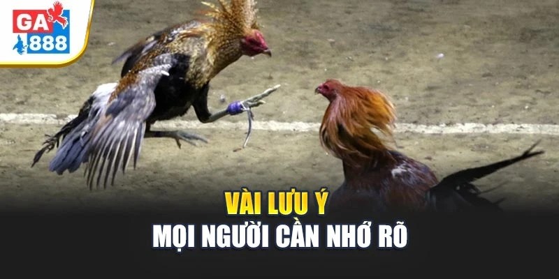 Vài lưu ý mọi người cần nhớ rõ Vài lưu ý mọi người cần nhớ rõ